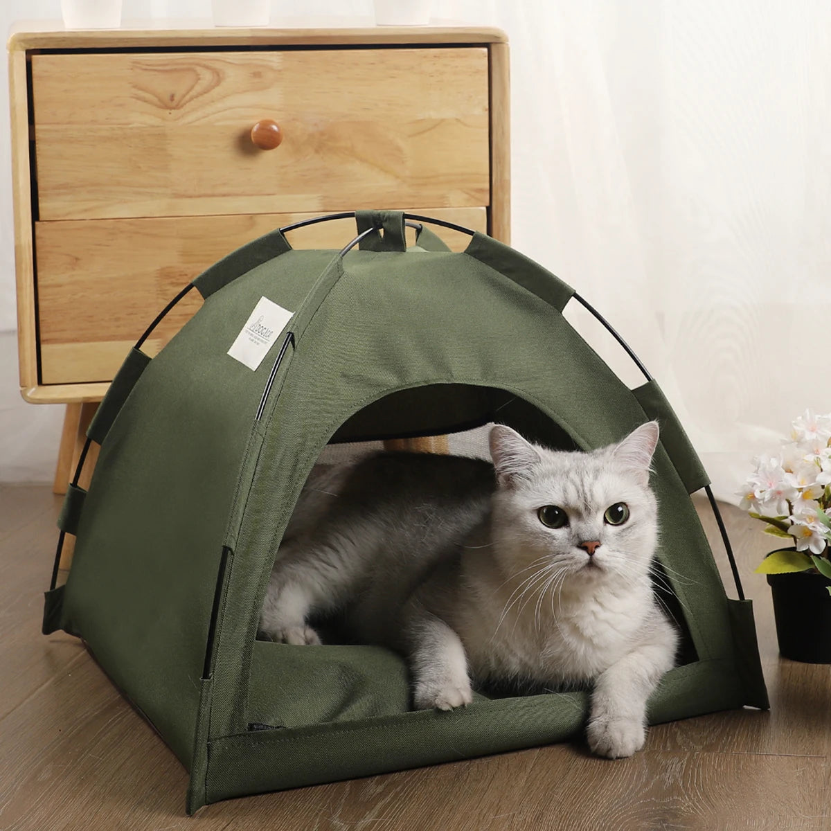 Warm Winter Shelter for Cats - Trail's Hottest Deals