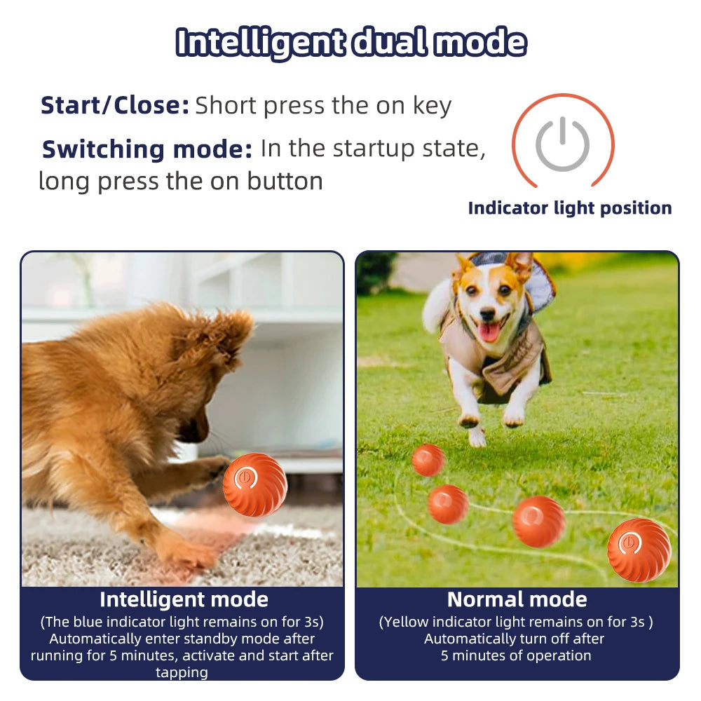 Interactive Smart Pet Toy Ball - Trail's Hottest Deals