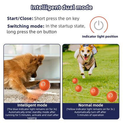 Interactive Smart Pet Toy Ball - Trail's Hottest Deals