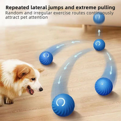 Interactive Smart Pet Toy Ball - Trail's Hottest Deals